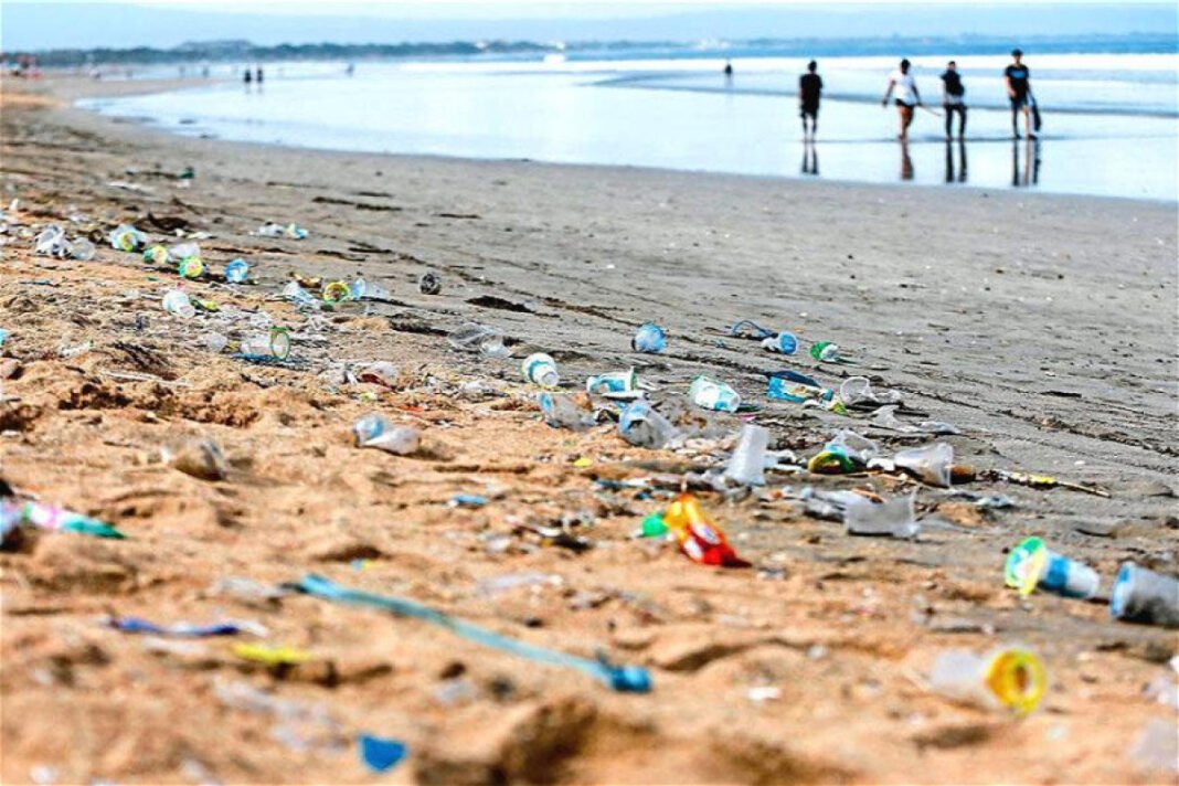 Deniz Çağırıyor, Çöp Kaçırıyor: Hazar Kıyısındaki Kirliliğe Karşı Nasıl Mücadele Edilir?