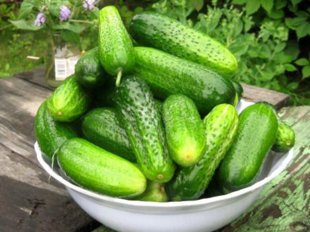 Lüks Fiyatlı Salatalıklar: Azerbaycanlılar İhmalkârlığın Bedelini Neden Ödüyor?