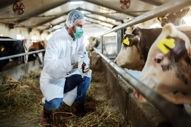 Azerbaycan Şarbonla Mücadelede Uluslararası İşbirliğini Güçlendiriyor