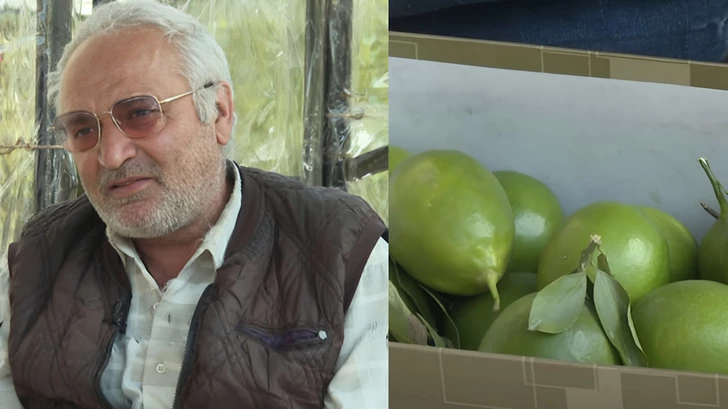 Bakü’de Olay: Limon Satıcısının E-Cüzdanında 1 Milyon Bulundu