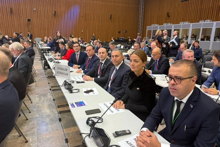 Azerbaycan heyeti NATO PA’nın 71. Oturumunda (Slovenya) konumunu güçlendirdi