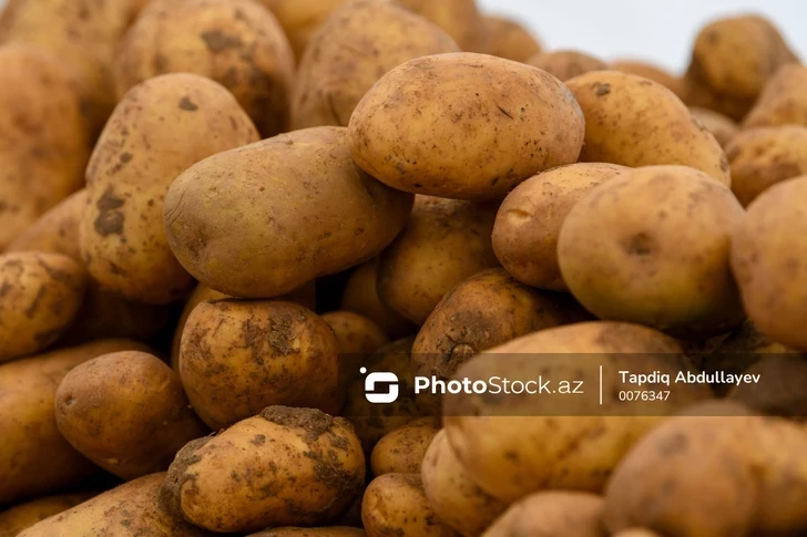 Azerbaycan dokuz ayda ne kadar patates ihraç etti?