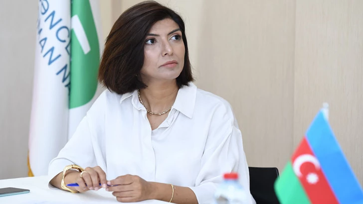 Neden Daha Fazla Azerbaycanlı Çocuk Evlilik Dışı Doğuyor