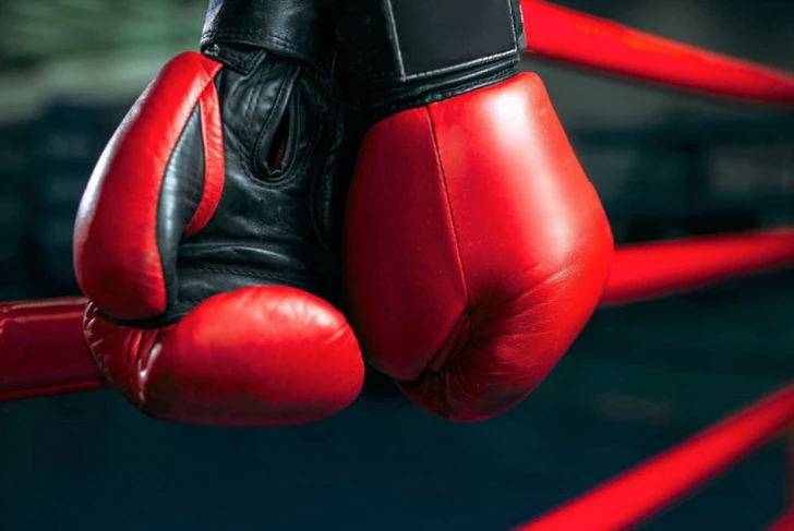 Azerbaycanlı boksör Avrupa Gençler Şampiyonası’nda altın madalya kazandı