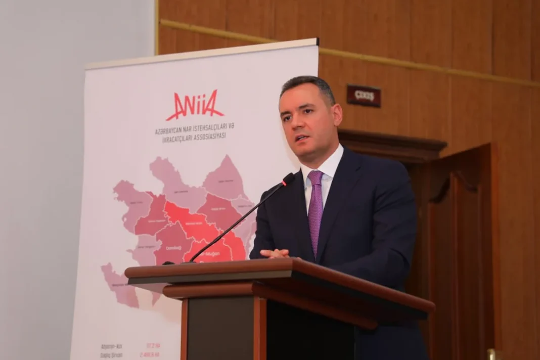 Azerbaycan’da nar hasadının yüzde 5–7 artması bekleniyor Azerbaycan'da nar hasadı yapan işçiler
