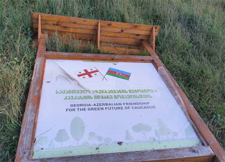 Tiflis yakınındaki parkta Azerbaycan bayrağı standı devrildi Tiflis yakınındaki Krtsanisi parkında zarar gören Azerbaycan bayrağı standı